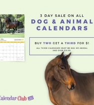 Calendar Club Now Open!!
3 Days Only!
All Dog 🐶 & Animal Calendars 🐎
Buy any TWO, Get a THIRD for $1
All three calendars must be Dog or Animal and over $15.99.