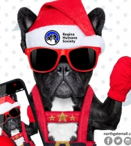 Today is Santa Paws Photos 📸 
Bring your fur-baby down to see Santa 🎅 from 12PM - 4PM!
Half the proceeds will be donated to the @reginahumanesociety ❤
Visit http://northgatemall.ca/blogs/post/santa-paws for restrictions.
#santaphotos
