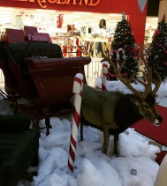 #santa is coming Nov23rd to @northgateyqr ... be sure to get a photo with the one and only...#rudolphtherednosedreindeer!