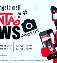 Santa Paws Photos 2 days only! Come down to @northgateyqr Sunday Nov.27th and Dec 11th from 12PM -4PM! #dogsandcats #animallover #santa #socute