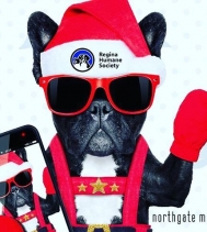 #tistheseason for #giving! Thanks to all the fur babies who came to meet #santa this holiday season! We raised $511 from the Santa Paws Photos which has been donated to the @reginahumanesociety. 🙌🏼🎄🐶🐱🐾🎄☃️📸💰