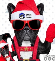 This Sunday is your final day to snap 📷 your furbabies with Santa from 12-4!
🎅🏼🐶 #santapawsphotos @reginahumanesociety