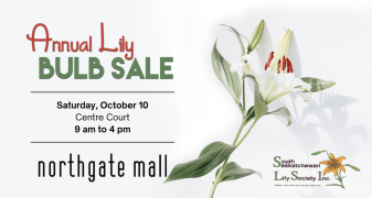 Annual Lily Bulb Sale