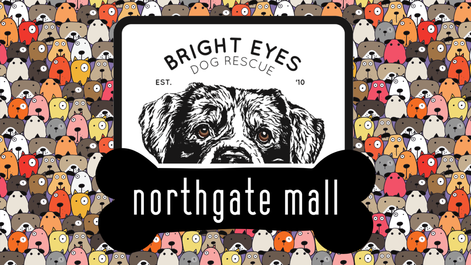 Bright Eyes Dog Recue at Northgate Mall