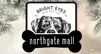 Bright Eyes Dog Recue at Northgate Mall