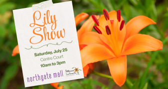 Lily Show