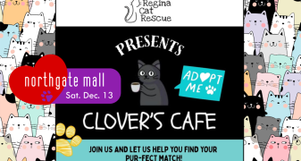 Regina Cat Rescue Presents Clover's Cafe