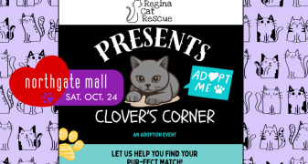 Regina Cat Rescue Presents Clover's Corner